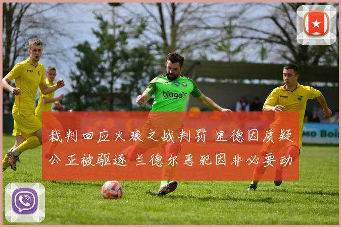 裁判回应火狼之战判罚 里德因质疑公正被驱逐 兰德尔恶犯因非必要动作判罚