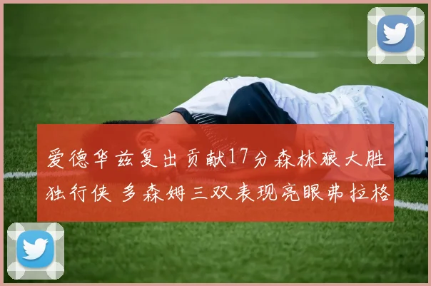 爱德华兹复出贡献17分森林狼大胜独行侠 多森姆三双表现亮眼弗拉格表现出色