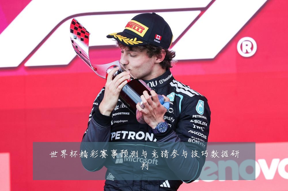 世界杯精彩赛事预测与竞猜参与技巧数据研判